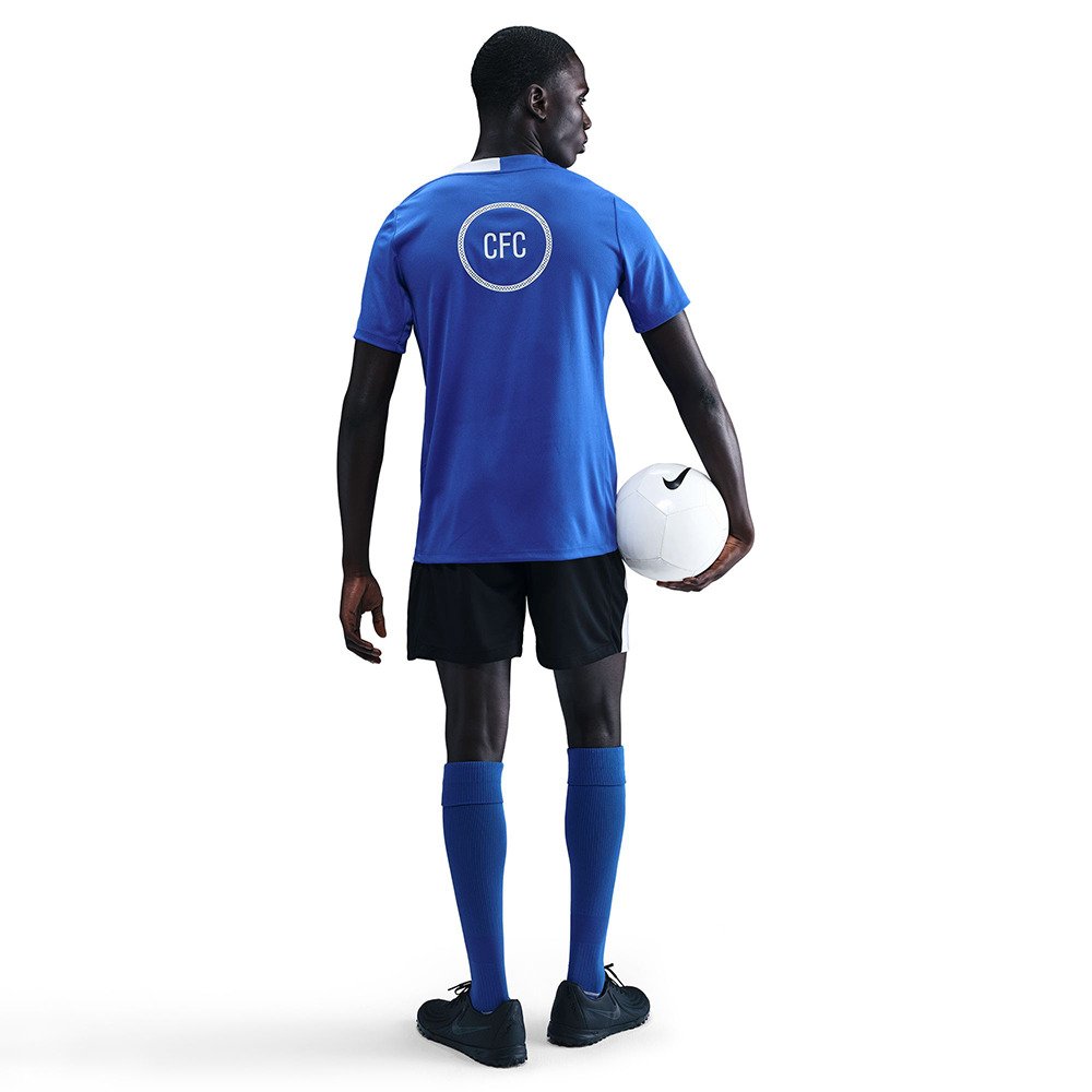 ナイキ（NIKE）（メンズ）ドライフィット チェルシー Chelsea FC