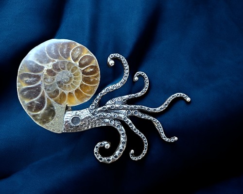 アンモナイト 化石 置物 楽天市場】アンモナイト 化石｜Ammonite