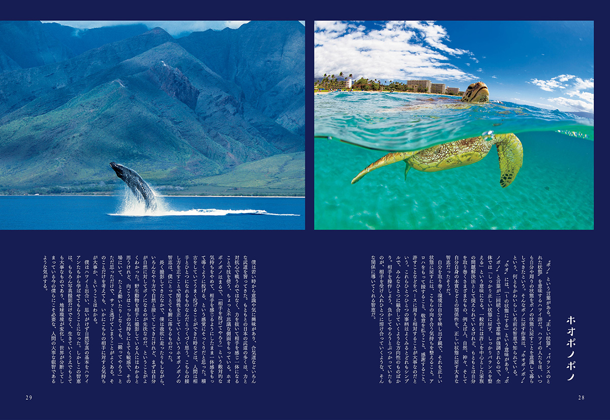 Coyote No.79 特集 高砂淳二 WATER IS WIDE