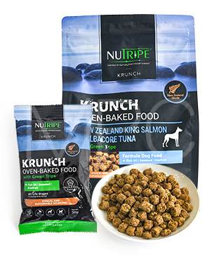 Nelson's ドライドッグフード 2027年3月31日まで Nelson's ドライ