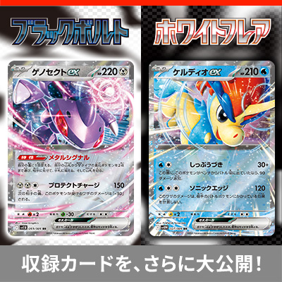 ブラックボルト ホワイトフレア AR 144枚 まとめ売り ⑤ ツタージャ