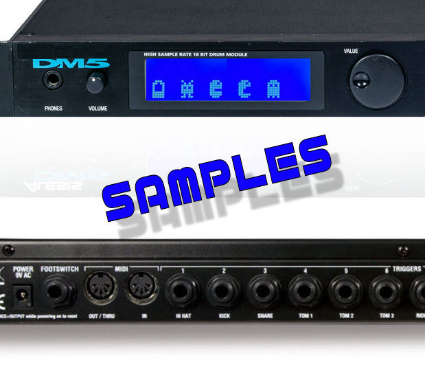 ALESIS アレシス DM5 18 BIT ドラム音源モジュール B092A018○ALESIS
