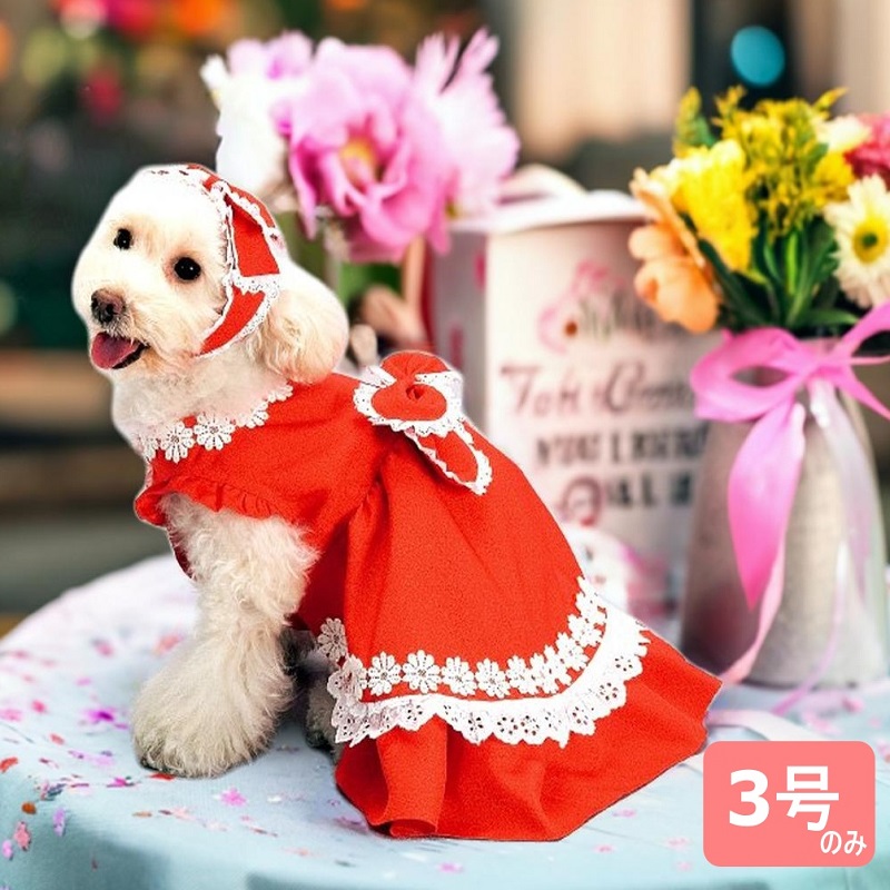 商品一覧 – Candy Buppie Online CandyBuppie 犬服 リボン ヘッド