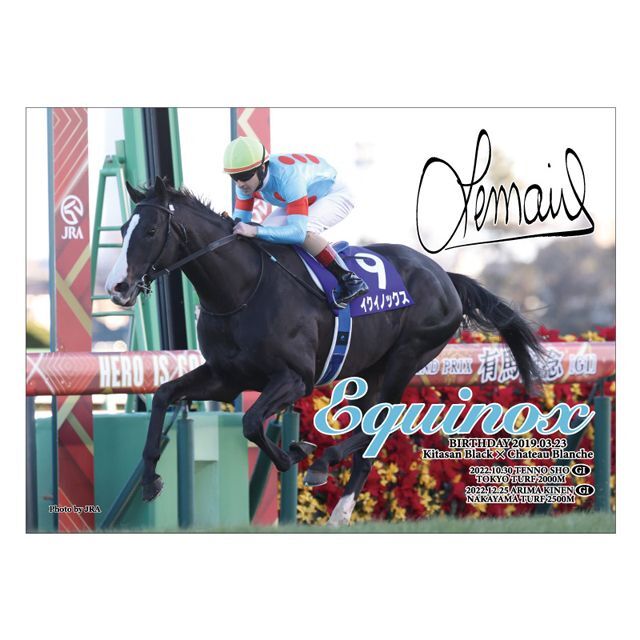 イクイノックス ミニゼッケン 2022 天皇賞・秋 ルメール騎手直筆サイン