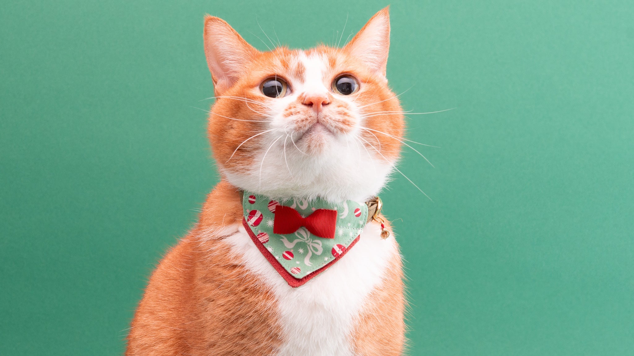 猫首輪 クリスマスコレクション｜ぽぽねこ公式オンラインショップ