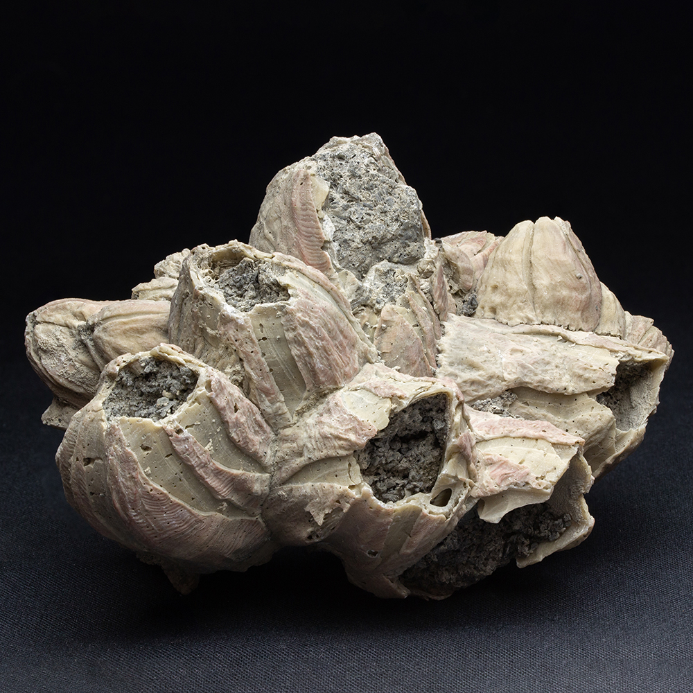 化石 F-3 For Hitachi Excavator ZX200-3 ZX240-3 ZX270-3 ZX330-3