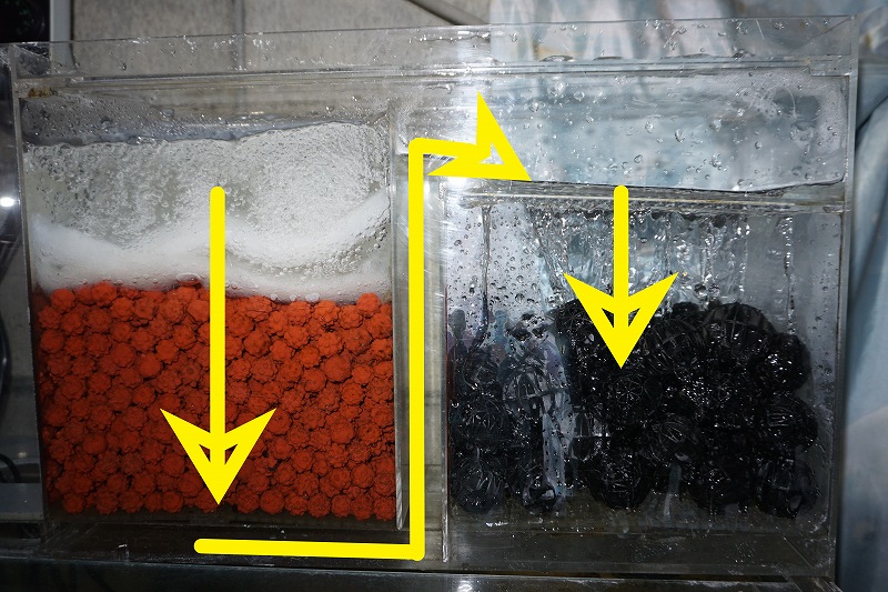 ペットバルーン オリジナル上部フィルター レイシーポンプセット