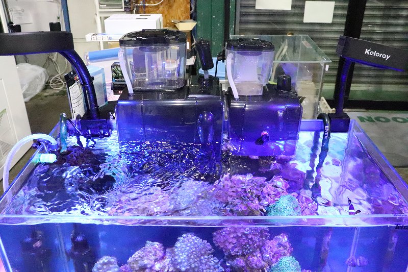 飼育用品・器具】【プロテインスキマー】プロテインスキマーQQ3 300L