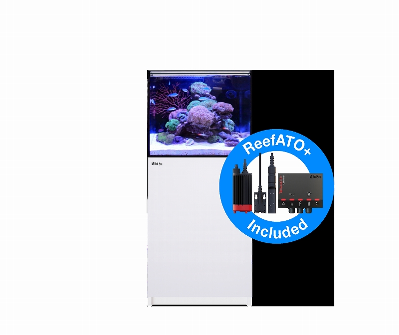 飼育用品・器具】【大型商品送料別途】【お取り寄せ】【Red Sea