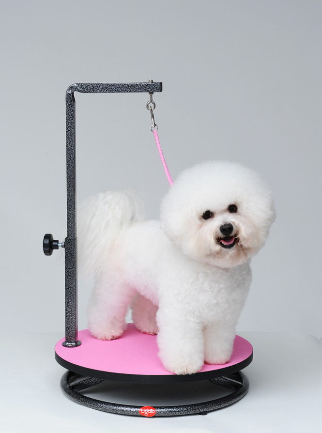 Ligato ペット用ドライヤー