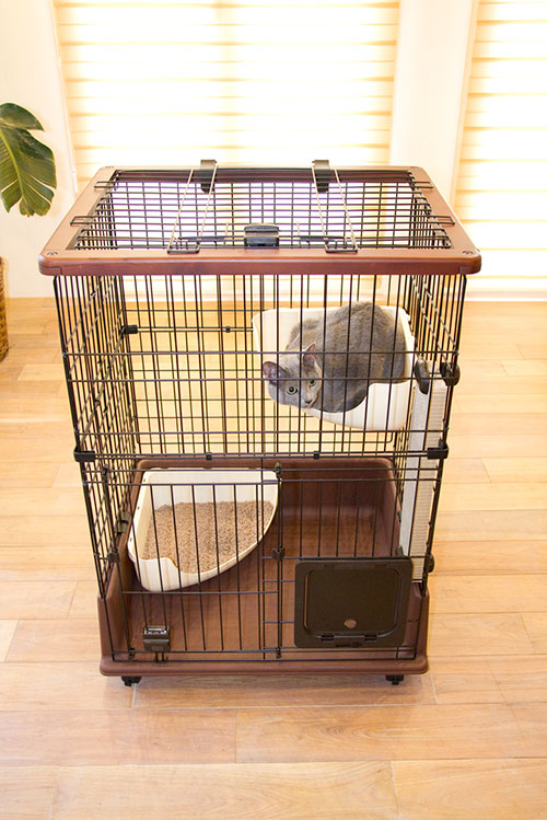 necoco リビングにもぴったりな キャットハウス＆グッズ ｜ Petio