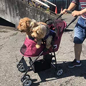 Porta ポルタ ドッグリュックキャリー ブラック | ペティオ オンライン