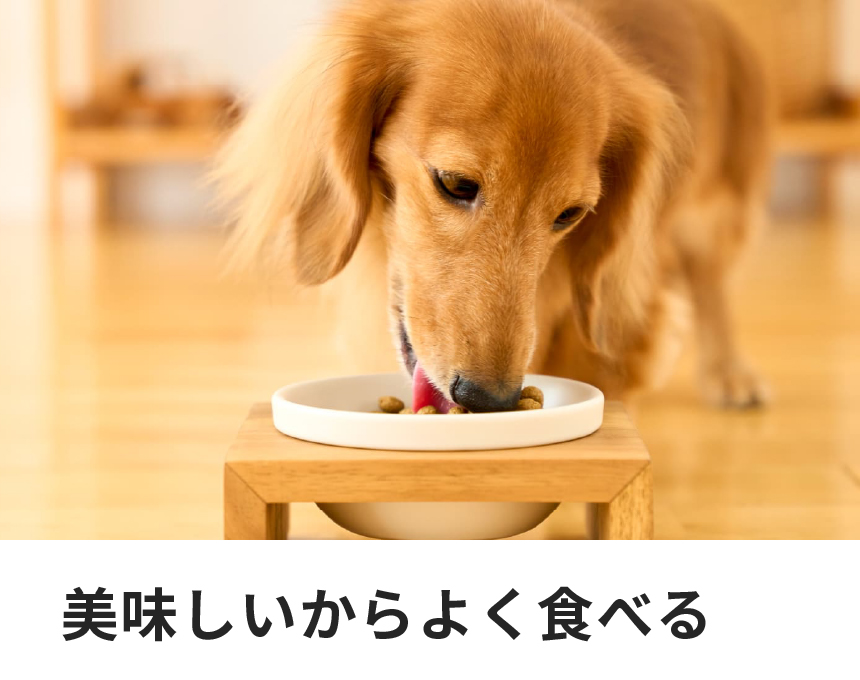 犬用尿石ケア｜Dr.'s（ドクターズ）| ペットライン