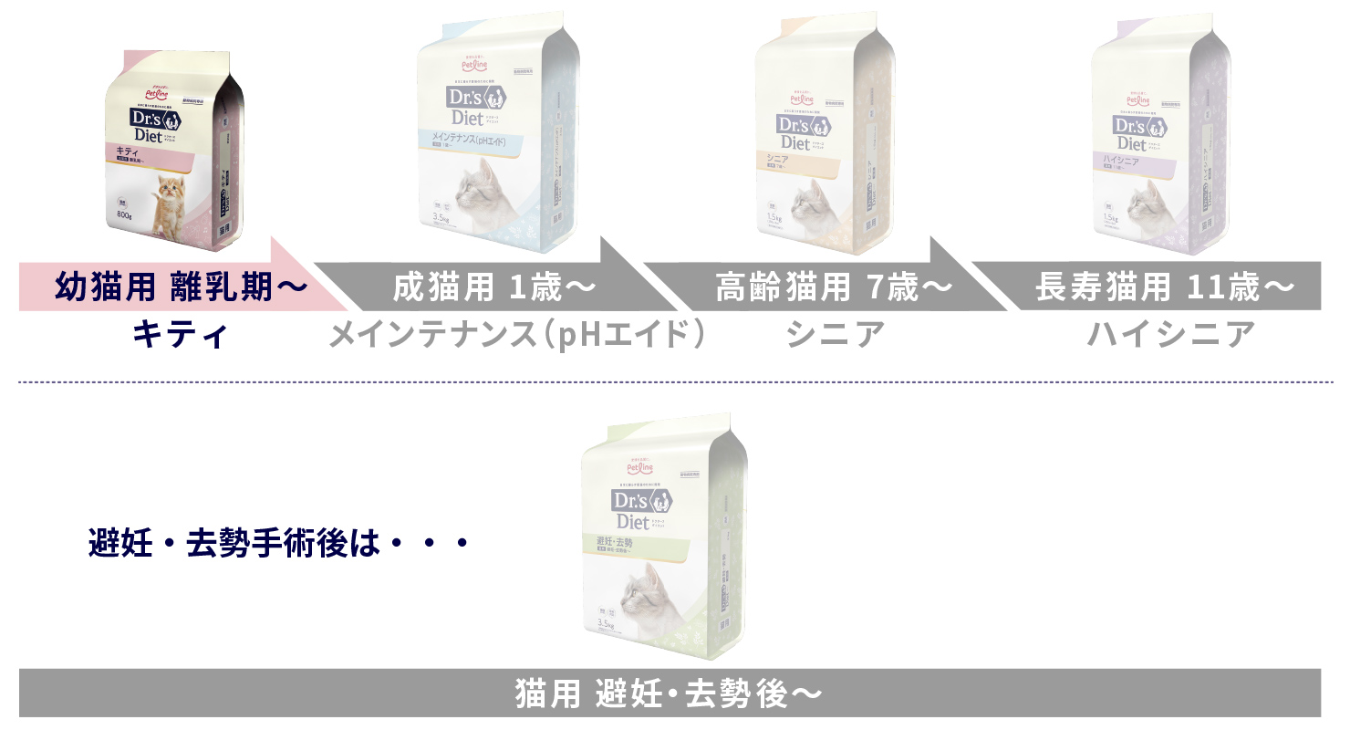 キティ｜Dr.'s（ドクターズ）| ペットライン