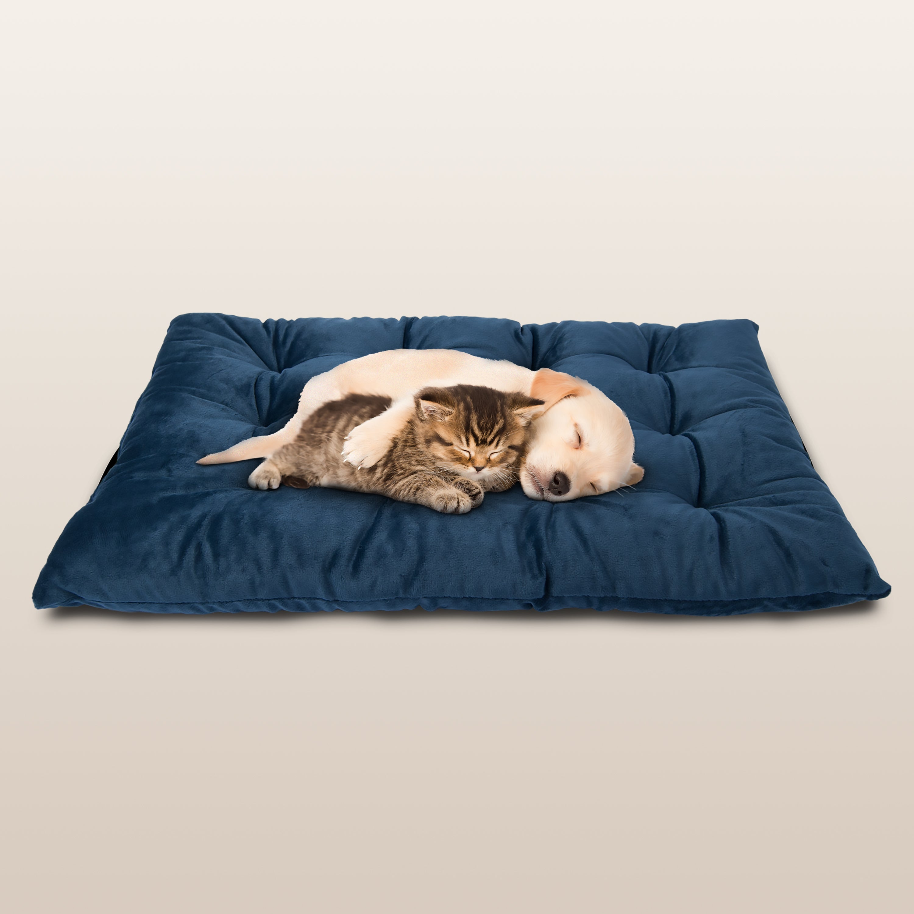Best Cat Bed Pillows | Cat Cushion Pad | Soft Cat Bed | PetLuv