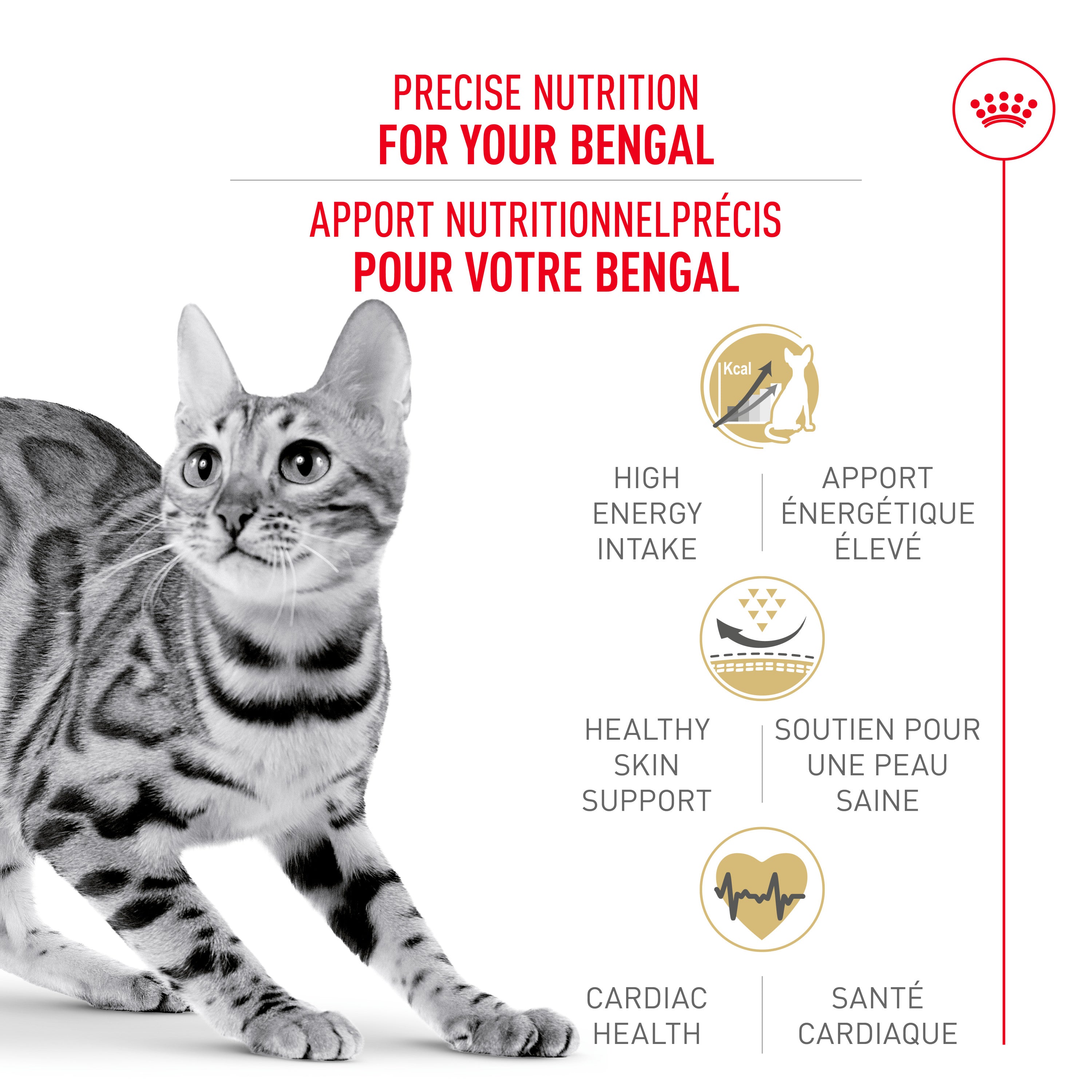 Buy Royal Canin Bengal Cat Food Online In Canada – PetMax