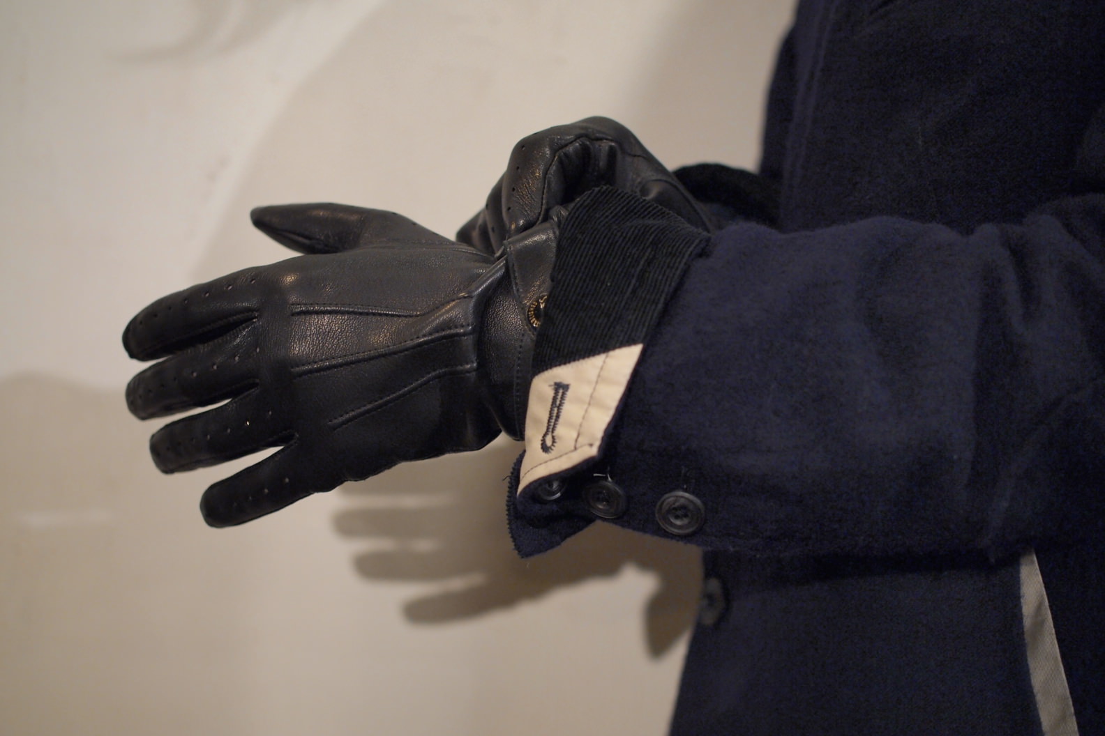 DENTS 007 SPECTREpeau de l'ours | peau de l'ours（ポードルルス