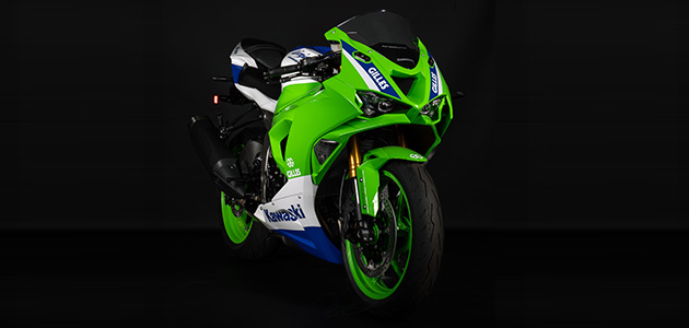ZX6R カスタム カスタムパーツ