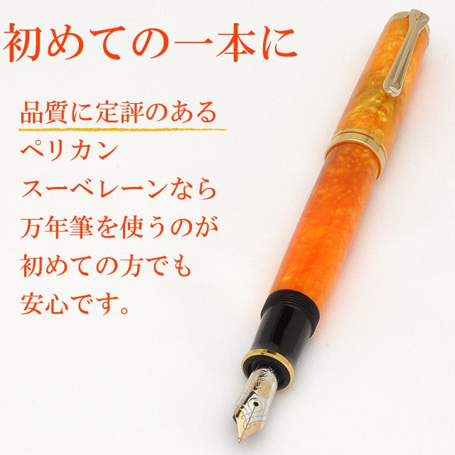 Pelikan ペリカン 万年筆 特別生産品 スーベレーン600 万年筆 ヴァイ