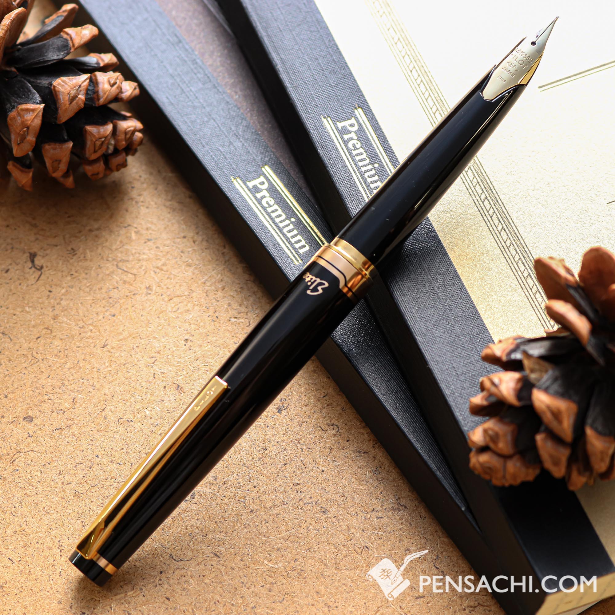 PILOTElite95SFountainPen-Black