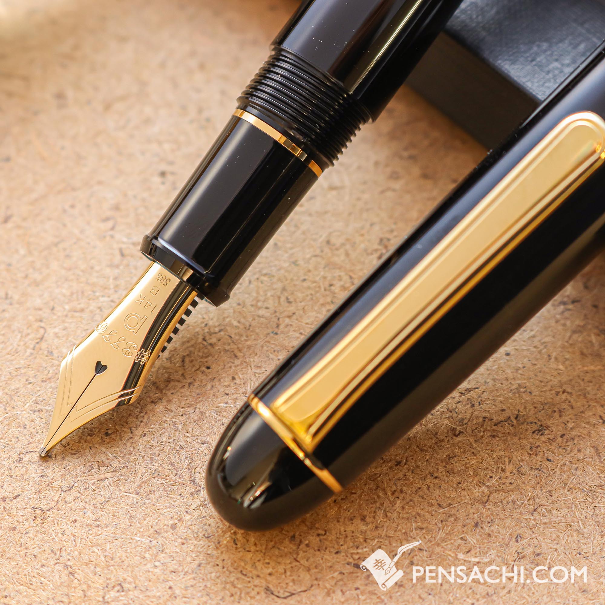 PLATINUM #3776 Century Fountain Pen - Black | PenSachi - Japan