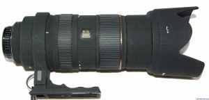 Sigma APO EX DG 50-500mm F4-6.3 Lens Reviews - Sigma Lenses