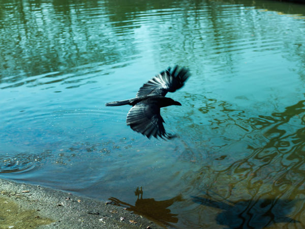 PGI | 竹之内 祐幸