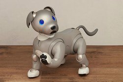 ソニー、“aibo”の2021年限定色『黒ごまエディション』。4色から選べる