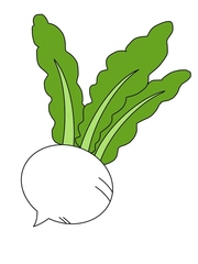 かぶ イラスト素材 [6224052] - フォトライブラリー