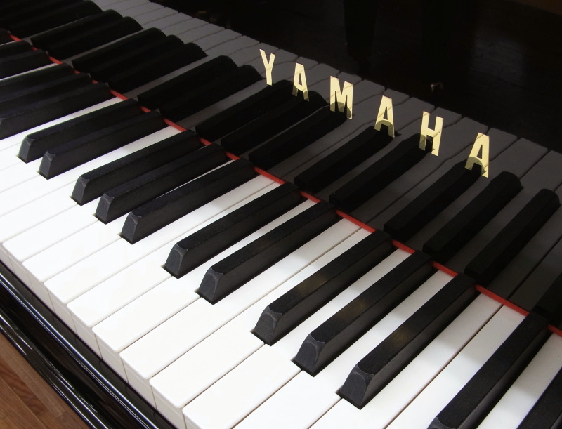 YAMAHA C3鍵盤 バックチェックなし YAMAHA C3鍵盤 バックチェックなし