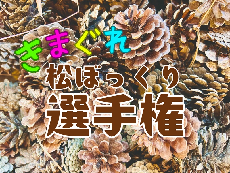 イルミナティカード Spontaneous Combustion（自然発火） 913ymw9HTZL.jpg