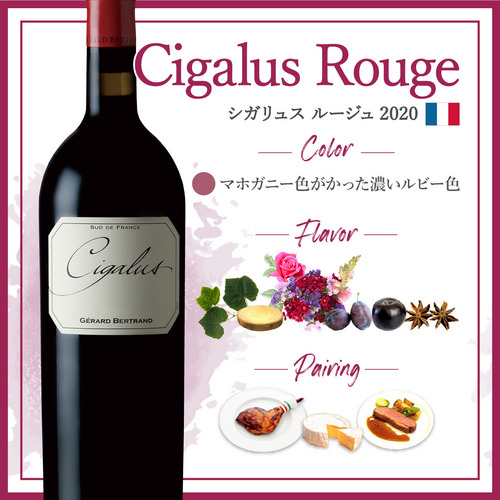 シガリュス ルージュ (2020) | ピーロート・ジャパン ハイエンド・高級