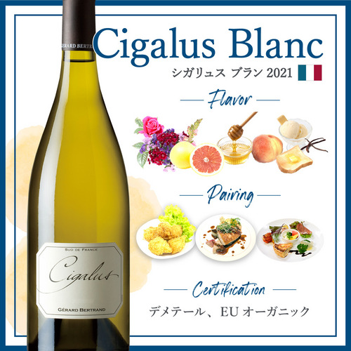 シガリュス ブラン (2021) | ピーロート・ジャパン ハイエンド・高級