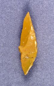 山梨県／常設展・旧石器時代