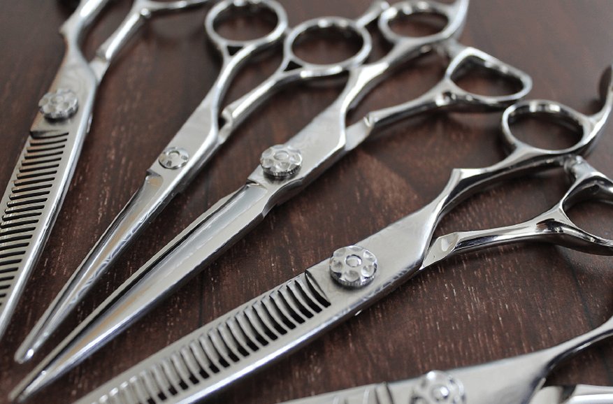 プリマード・シザーズ