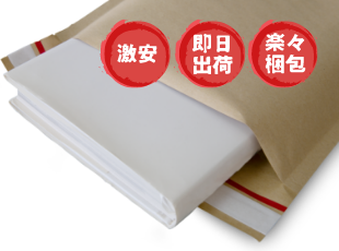 UPS EXPRESS PAD Pak プチプチ緩衝材封筒55枚 UPS EXPRESS PAD Pak
