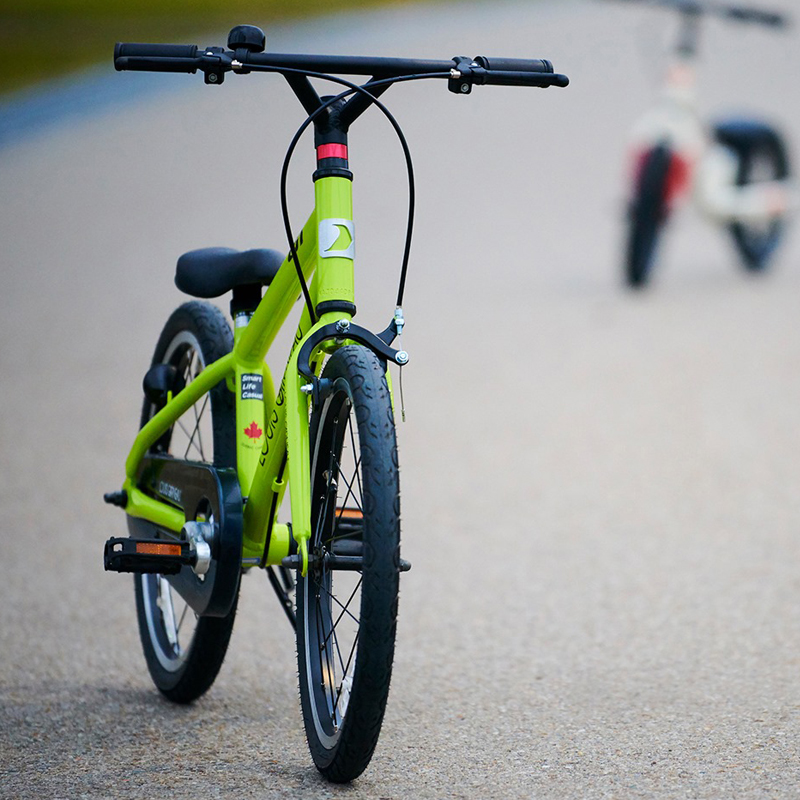 ルイガノ】キッズバイク K16lite 16インチ グリーン 送料込み LOUIS