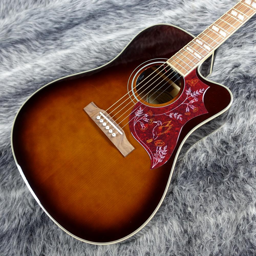Epiphone アコースティックギター ハミングバードアーティスト