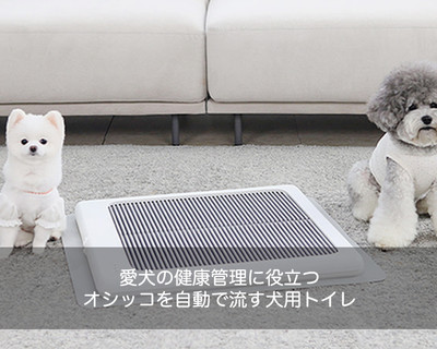 Brilliant Pad｜室内小型犬用自動クリーニング機能搭載トイレ