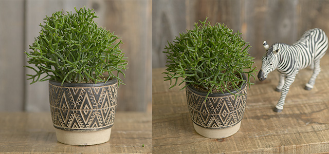 アフリカン民族風ポット｜ガーデン用品屋さん【Yahoo!ショッピング店】