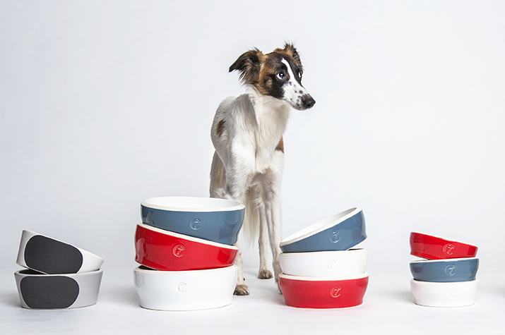 楽天市場】犬用コート Cloud7 クラウド7 グラスゴー グリーンチェック