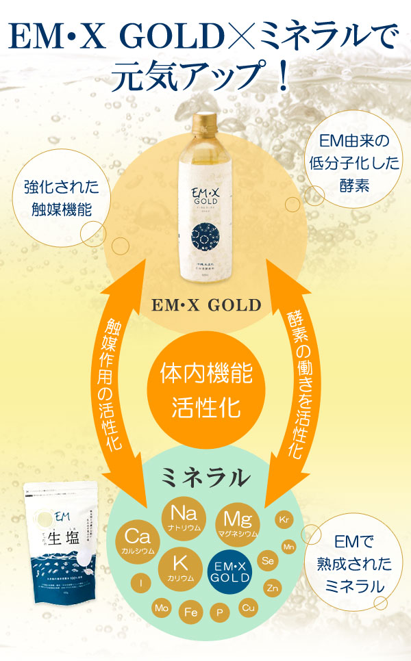 楽天市場】EM・Xゴールド（500ml）【2本セット】【EM生活】【いつでも