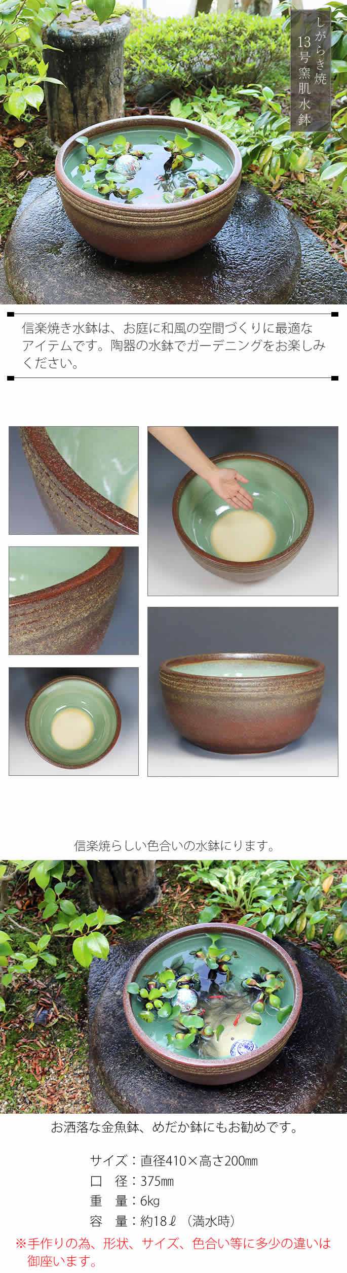 楽天市場】【今だけ限定10%OFFクーポン配布中】メダカ鉢 おしゃれな