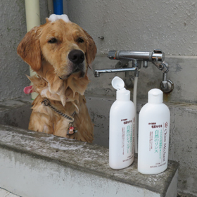 シャンメシャン／自然のシャンプー＆リンス