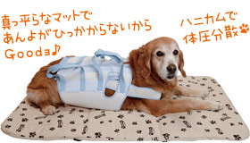 3WAY 抱っこハニカムマット（ショルダー付）