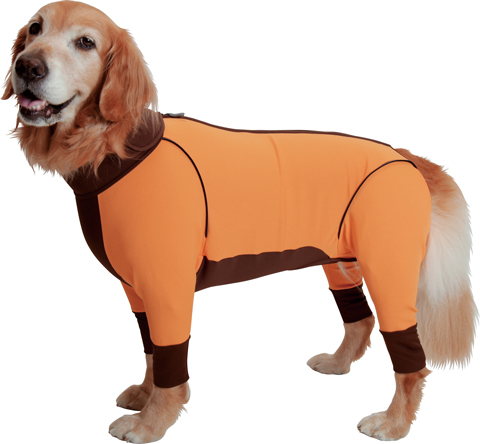 アルファアイコン ダブルフルドッグガード（2013-2014年モデル）（大型