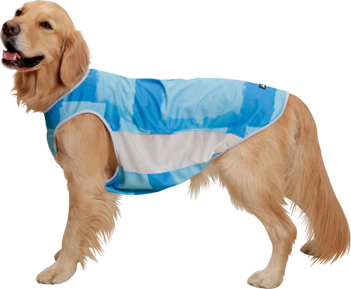 アルファアイコン》サマークーリングタンクトップ（2021）