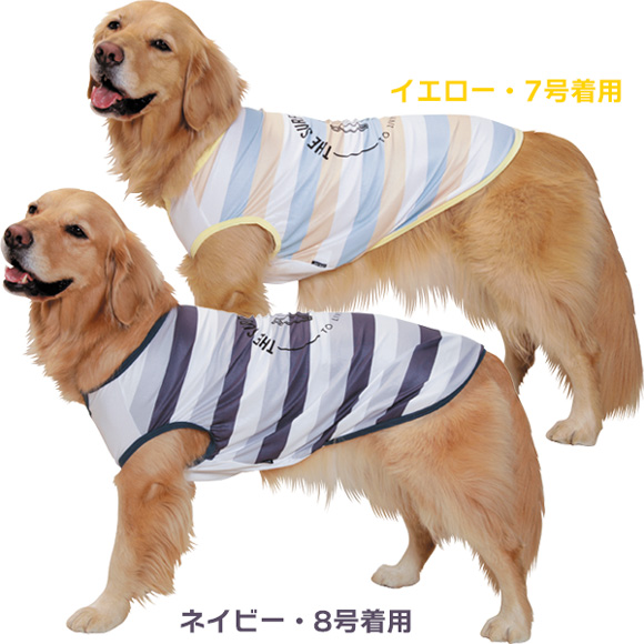 ワンちゃんタンクトップ3号新品未使用犬用ブルーイエローボーダー