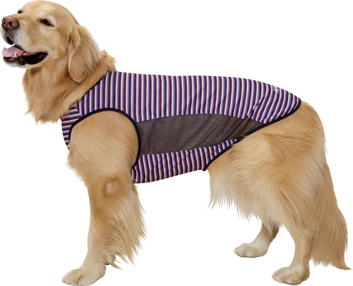 アルファアイコン》サマークーリングタンクトップ（2023）