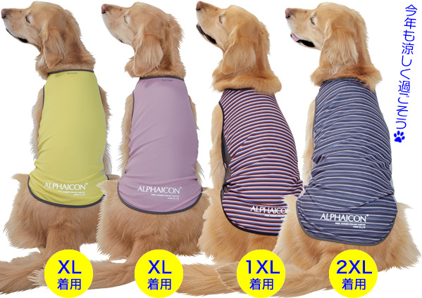 アルファアイコン》サマークーリングタンクトップ（2023）